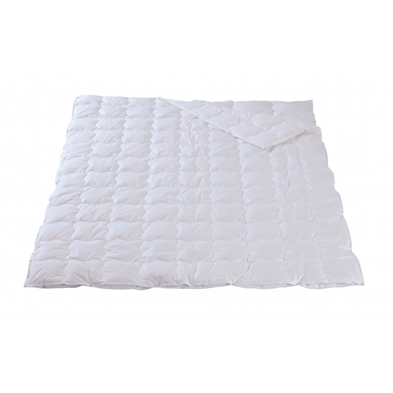 Dorbena 4-Saison-Daunenduvet FUCHSIA CLASSIC Gänsedaunen