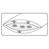 Dorbena 3-Kammer-Kissen  CALTHA CLASSIC low mit Entendaunen und Gänsefedern