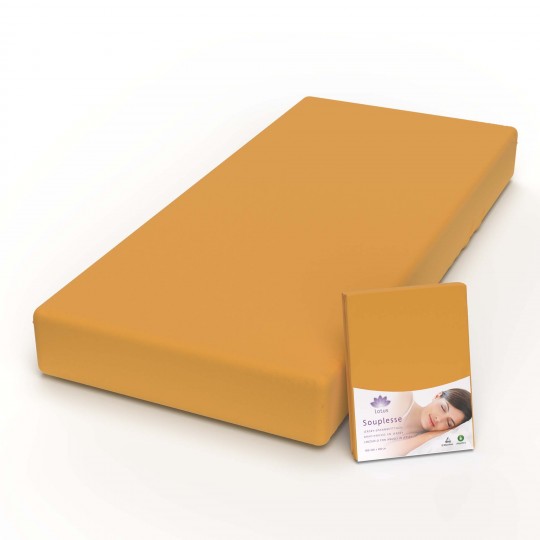 Fixleintuch Jersey Souplesse