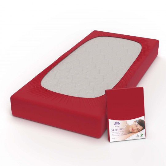 Fixleintuch Jersey Souplesse