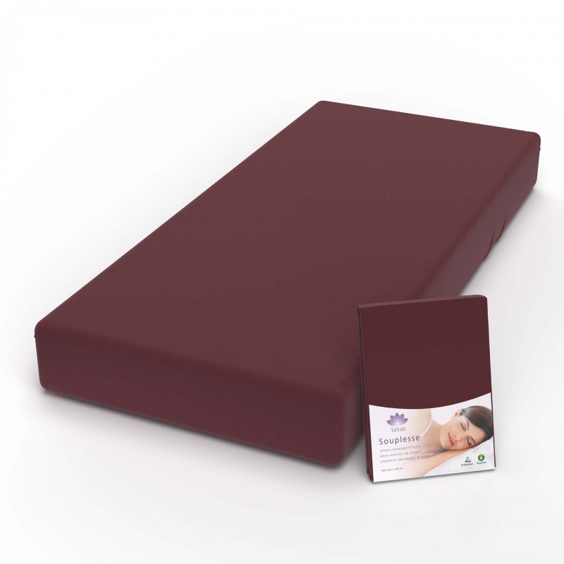 Fixleintuch Jersey Souplesse