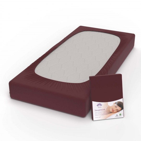 Fixleintuch Jersey Souplesse