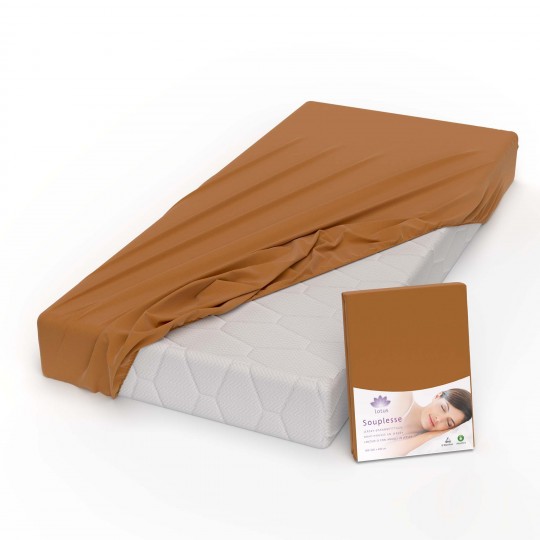 Fixleintuch Jersey Souplesse rost 71